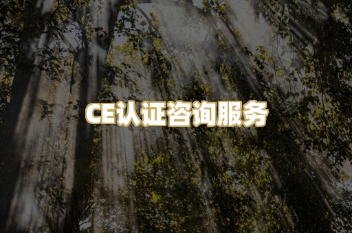 CE认证咨询服务